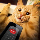 Remote control for cat joke icône