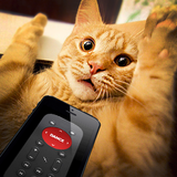 Remote control for cat joke icône
