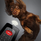 Remote control for dog joke icon