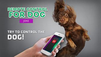 Remote control for dog joke poster