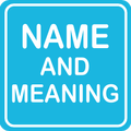 African-American Name Meanings 🔍