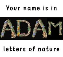 Votre nom est dans les lettres de la nature Affiche