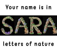 Votre nom est dans les lettres de la nature capture d'écran 1