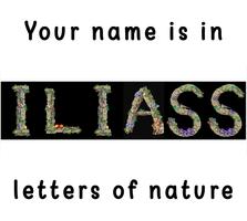 Votre nom est dans les lettres de la nature capture d'écran 2