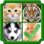 Guess 4 Pics 1 Wrong icon