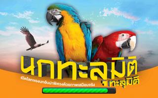 NMBBIRD3D - Nanmeebooks Affiche