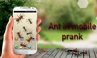 Ants in Mobile Prank poster