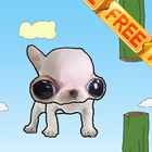 Floppy Chihuahua icône