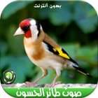 اصوات طائر الحسون بدون نتMP3 icon