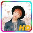 Suga BTS Wallpaper APK