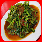 101 resep masakan kangkung biểu tượng