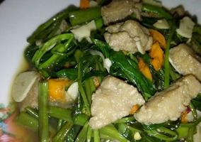 برنامه‌نما 101 resep masakan kangkung عکس از صفحه