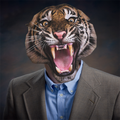 Animal Face Photo Maker