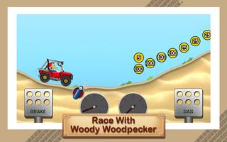 Hill Woody Racing Woodpecker Plakat