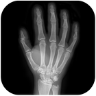 X射线扫描仪模拟器 图标