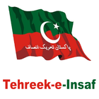 PTI (Pakistan Tehreek-e-insaf) icône