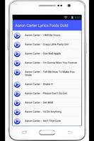 Aaron Carter Lyrics Fools Gold capture d'écran 2