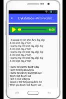 Erykah Badu Lyrics Bag Lady capture d'écran 1
