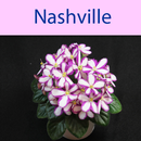 Nashville (Unreleased) APK