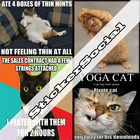 Cat meme sticker icono