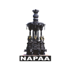 NAPAA icon