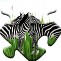 Kids Jigsaw Animal Puzzles