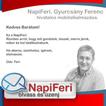 NapiFeri