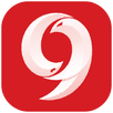 apk9Apps Version APK
