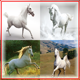 White Horse Game-icoon