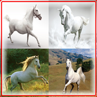 ikon Putih Permainan Horse