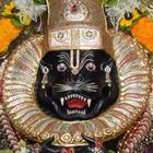 Narasimha Prayers & Arati Zeichen