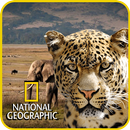 National Geographic Documentary Channel App APK