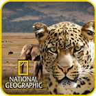 National Geographic Documentary Channel App آئیکن