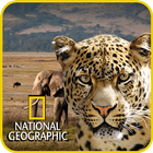 National Geographic Documentary Channel App icono