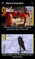 National Geographic Documentary Channel App پوسٹر