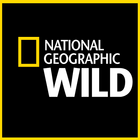 National Geographic Wild アイコン