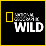 National Geographic Wild 아이콘