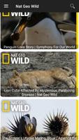 National Geographic Wild poster