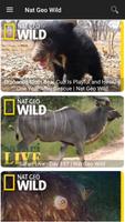 National Geographic Wild スクリーンショット 1