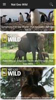 National Geographic Wild capture d'écran 2
