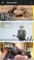 3 Schermata National Geographic Wild