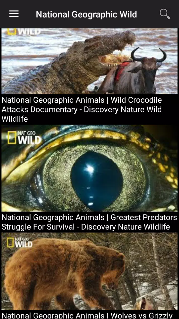 Nat Geo Wild : Best Documentaries APK pour Android Télécharger Nat Geo Wild : Best Documentaries APK pour Android Télécharger
