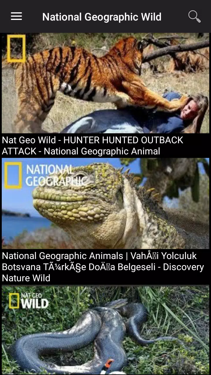 Nat Geo Wild : Best Documentaries APK pour Android Télécharger Nat Geo Wild : Best Documentaries APK pour Android Télécharger