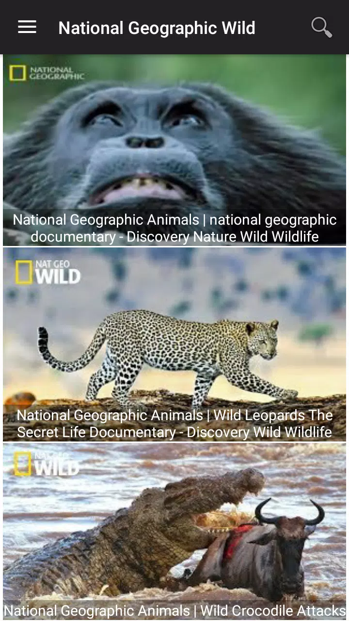 National Geographic channel APK pour Android Télécharger