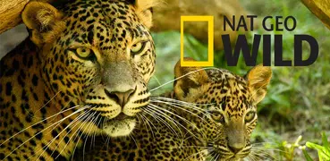 Nat Geo Wild