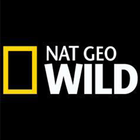 Nat Geo Wild アイコン