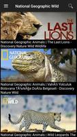 Nat Geo Wild Affiche