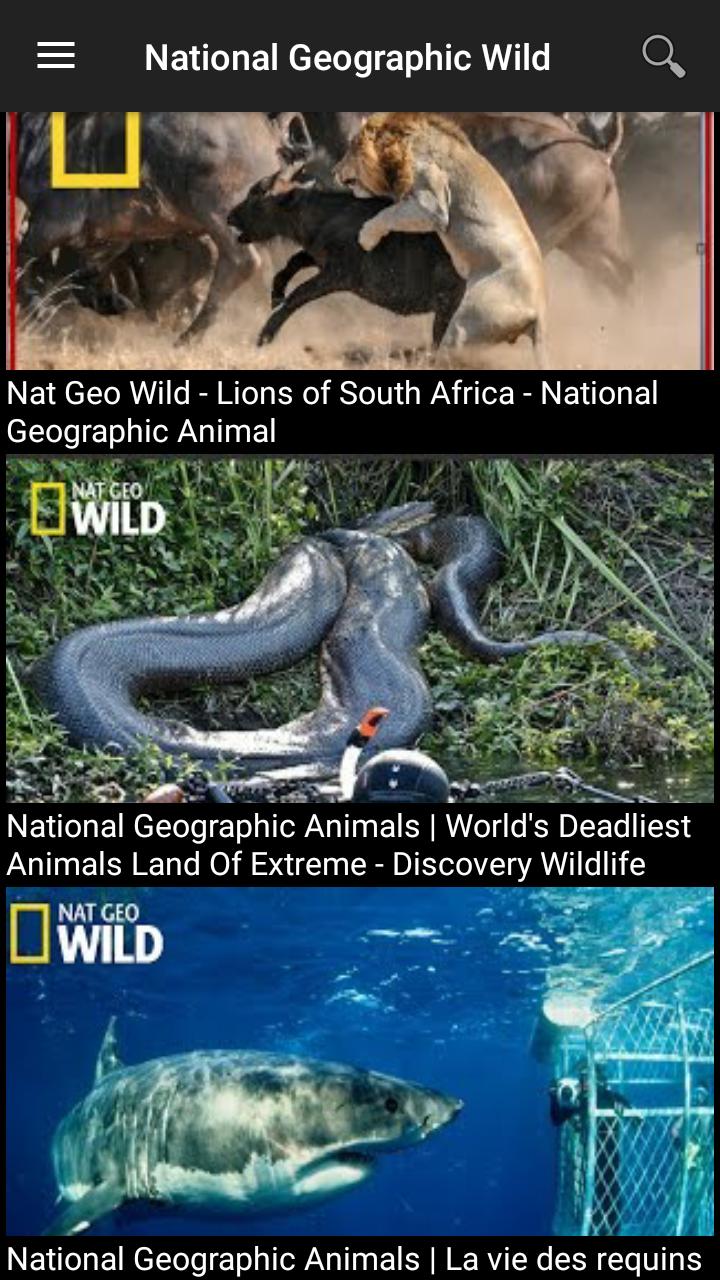 nat geo wild video download nat geo wild video download