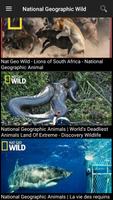 Nat Geo Wild 截图 1