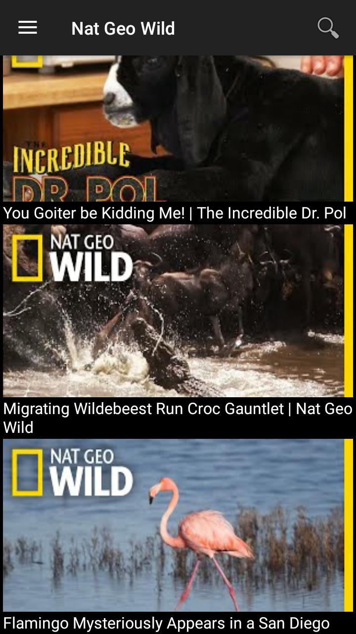 Nat Geo Wild APK for Android Download